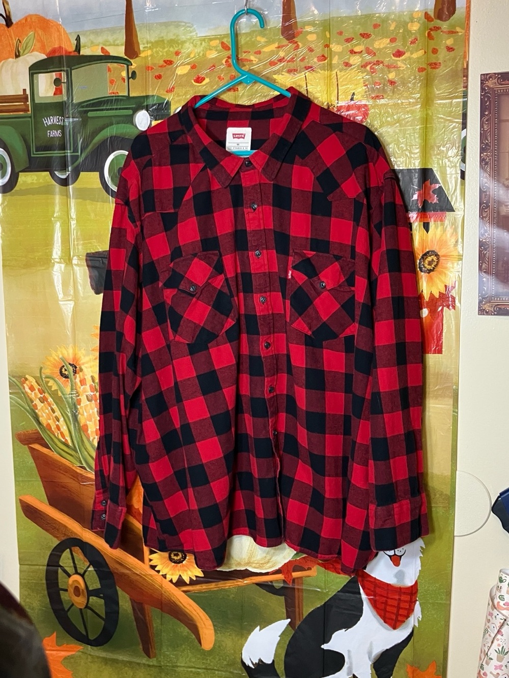 Levi's Red and Black Plaid Button-Down Flannel Shirt
